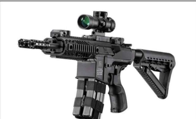 全球唯一双管步枪 银影基利波“蛇”双管步枪在专业保安培训中的应用